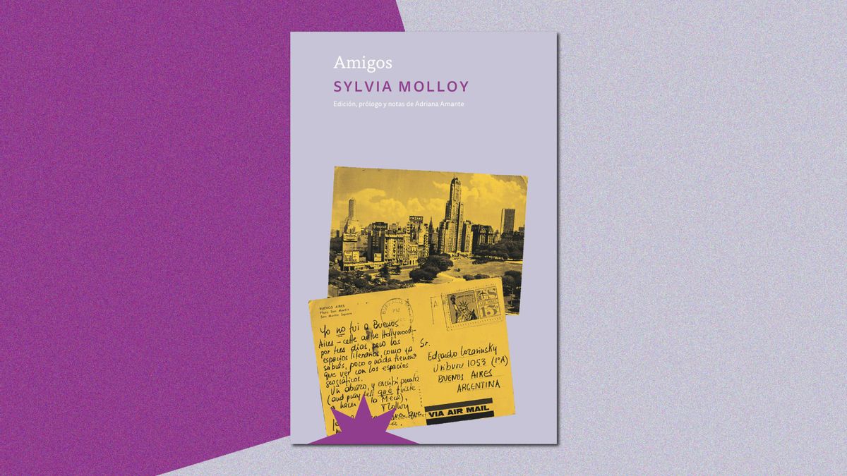 "Amigos", de Sylvia Molloy.