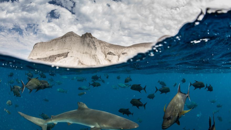 Los "malos" ya no se pueden escapar: los satélites delatan los buques de pesca ilegal