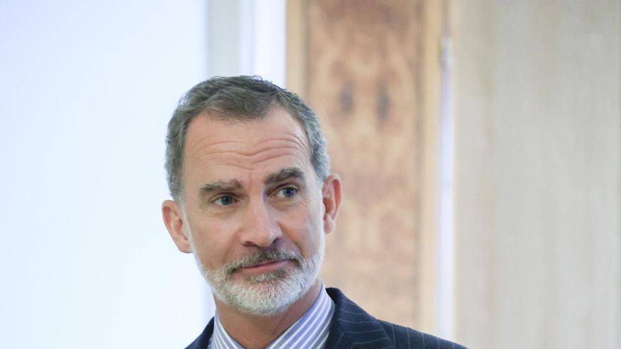 El rey Felipe VI en una foto de archivo. EFE/ Zipi