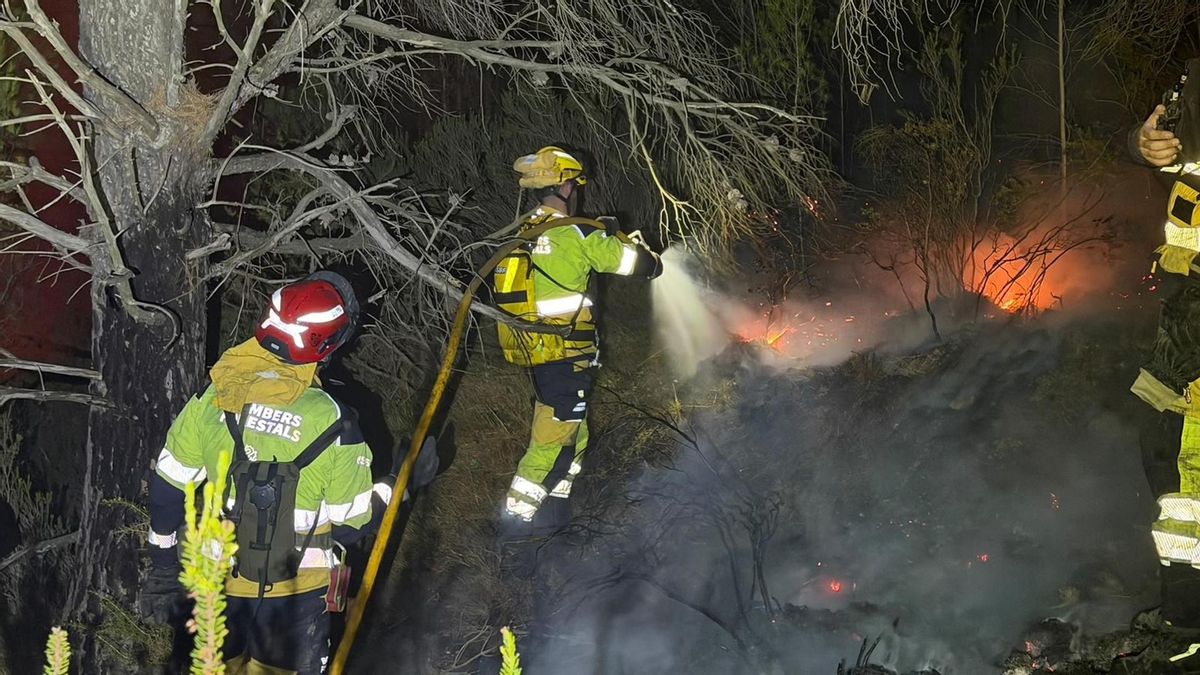 Una veintena de medios terrestres y aéreos trabajan en la extinción de un incendio forestal declarado en Castellón por la caída de un rayo