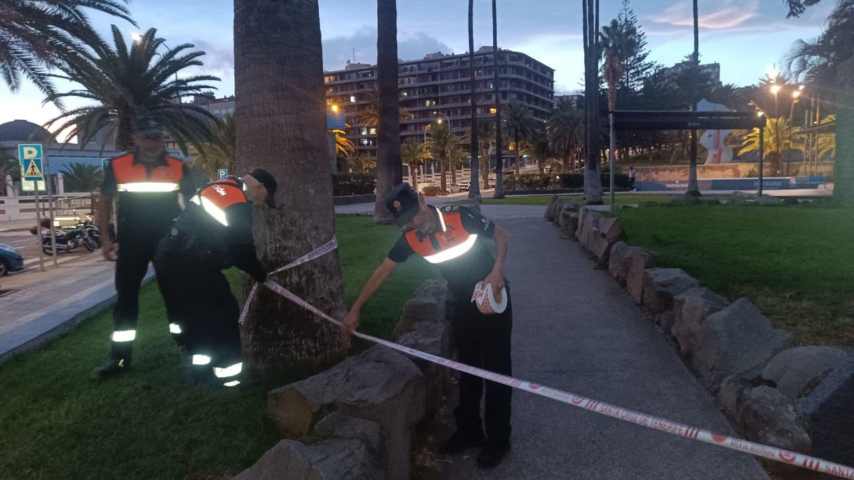 Protección Civil, balizando el Parque La Granja en Santa Cruz por la borrasca Claudia.