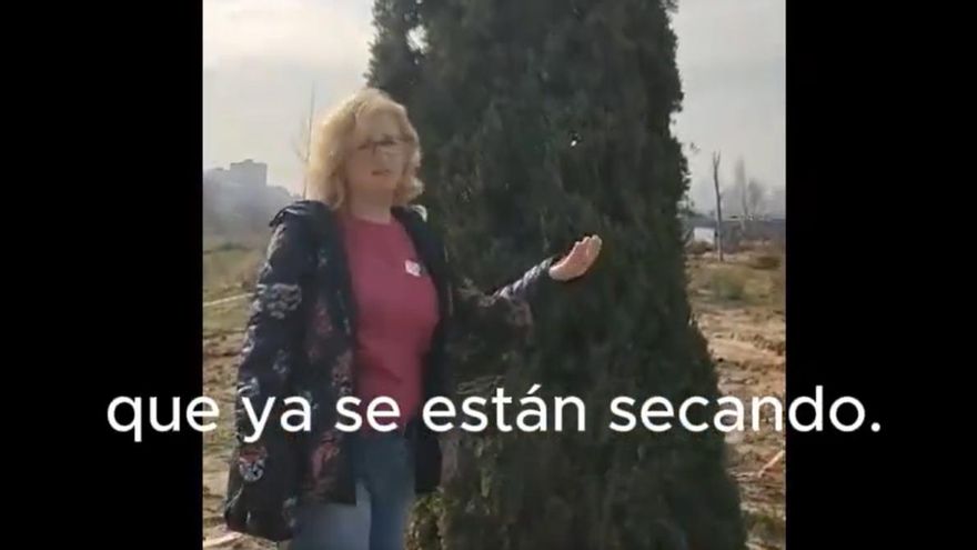 Vecinos denuncian que los trasplantes de Madrid Río han acabado en un "cementerio de árboles" en Valdebebas