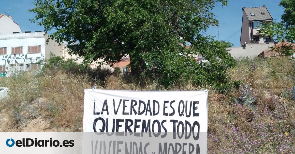 La EMVS tala la morera centenaria de Tetuán que los vecinos hicieron símbolo del viejo barrio y del desmán urbanístico