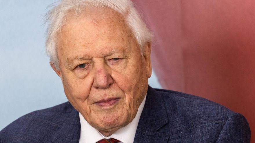 Attenborough enfatiza en un nuevo documental la importancia vital del océano para el planeta