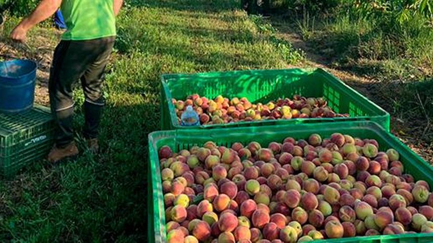 El campo extremeño acuerda un nuevo convenio para los próximos tres años