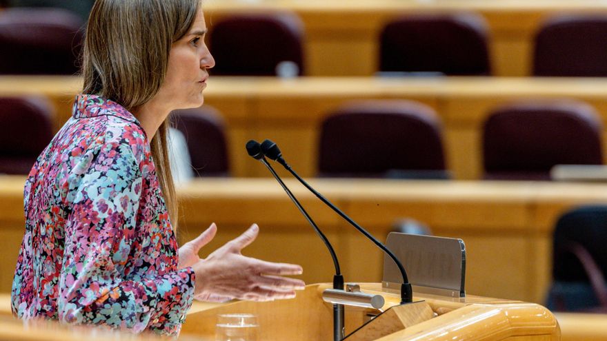 La vicepresidenta del Gobierno y ministra para la Transición Ecológica y el Reto Demográfico, Sara Aagesen, interviene durante una sesión de control al Gobierno en el Senado, a 6 de mayo de 2025, en Madrid (España).
