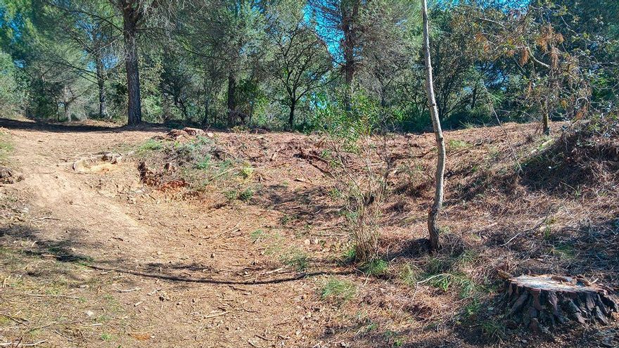 Ecologistas denuncia "malas prácticas forestales" en Los Villares
