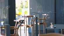 Fotografía cedida por el restaurante Sollo de su interior.