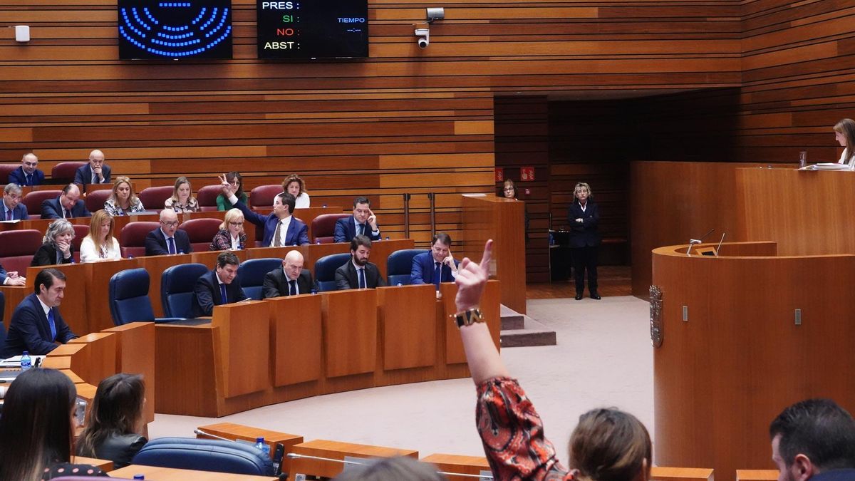 Votación en el Pleno de las Cortes de Castilla y León.