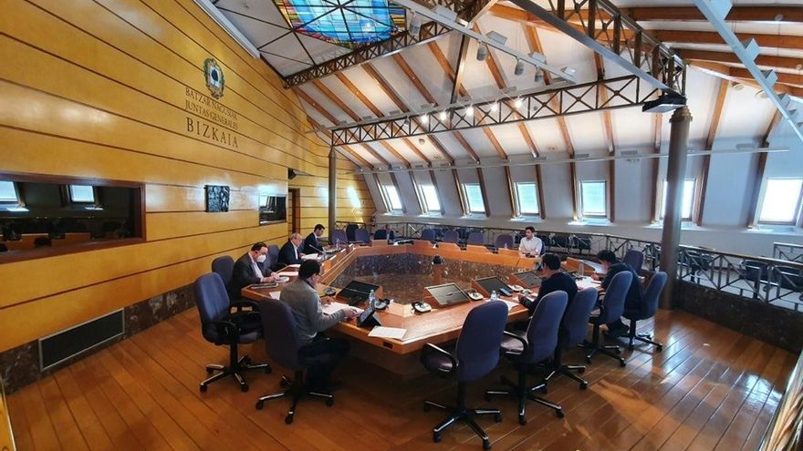 Las Juntas de Bizkaia piden que se estudien cambios en la normativa para viajar con mascotas en el transporte público