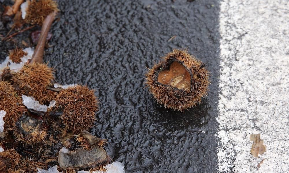Nieva en la cumbre de Gran Canaria.