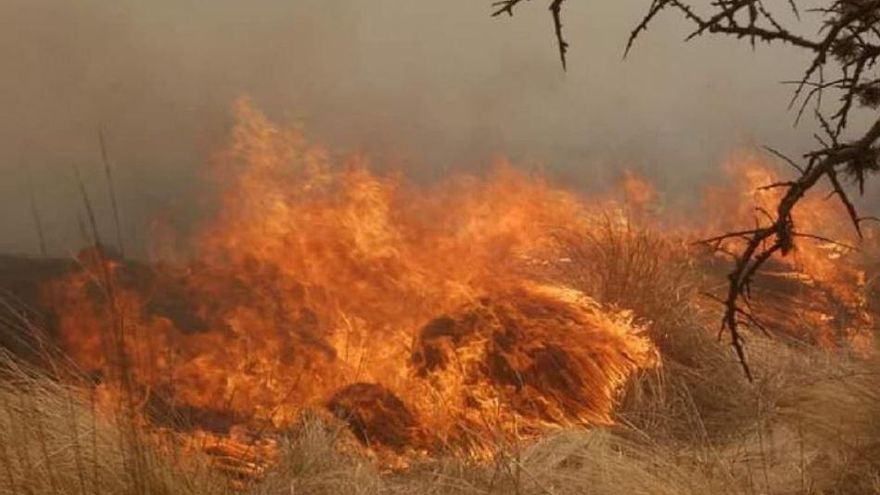 Con un clima adverso, bomberos combaten al menos cinco incendios en Córdoba