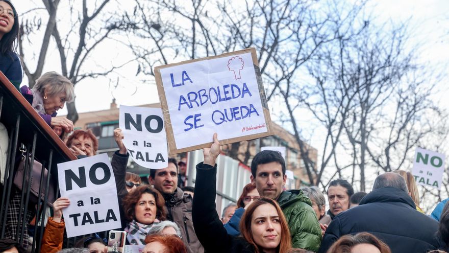 Más de dos décadas de lucha vecinal contra las políticas arboricidas del PP de Madrid