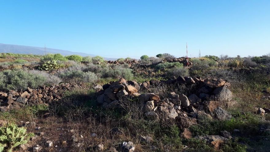 La zona arqueológica de Los Llanos de Ifara, en Tenerife, declarada Bien de Interés Cultural