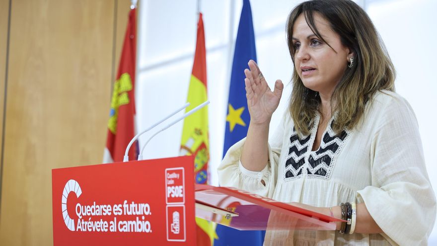 El PSOE anuncia antes de aprobar la Ley de Publicidad Institucional de Castilla y León que la cambiará más adelante
