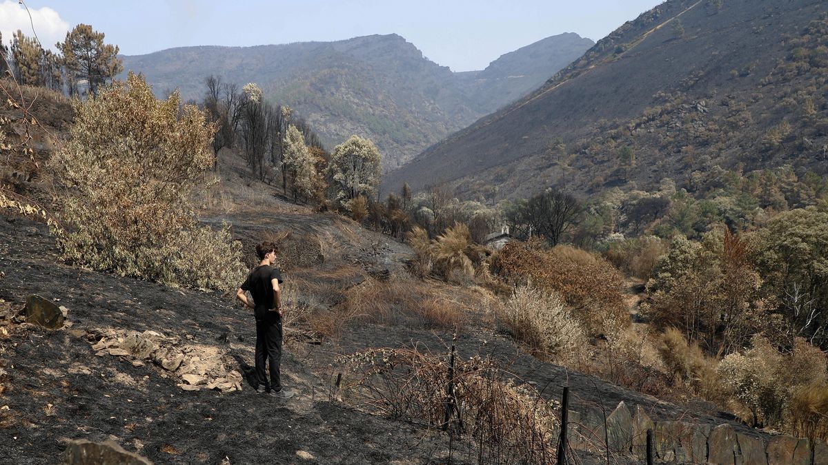 Una persona contempla la superficie arrasada por los incendios en la aldea de Montefurado, en Quiroga (Lugo).