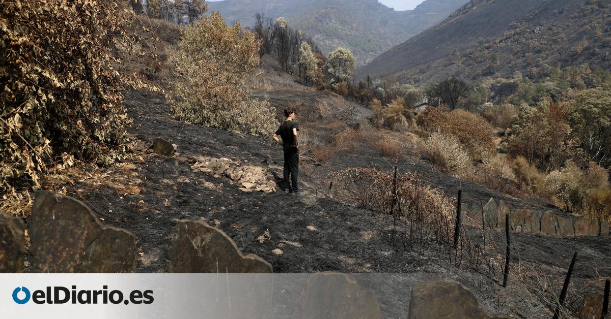 El ‘día después’ de los megaincendios: tenemos tres meses por delante para evitar las peores consecuencias