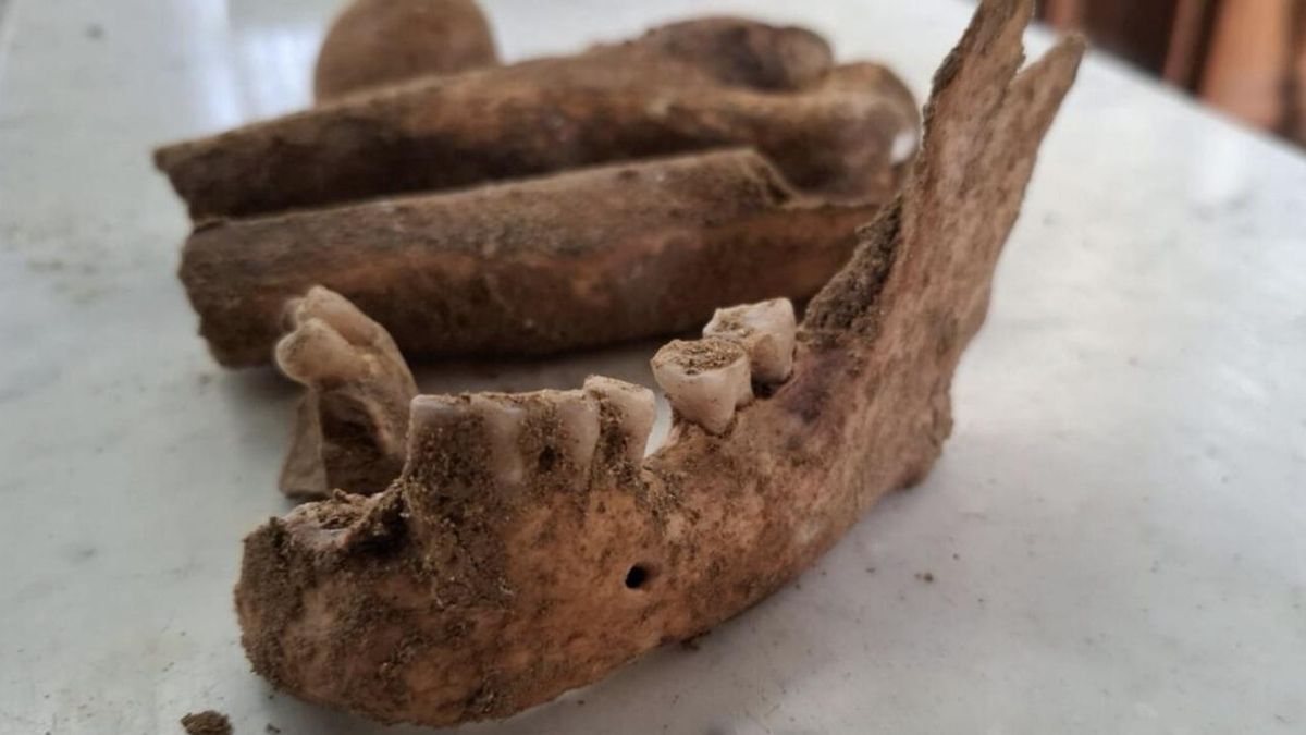 Un templo neerlandés reveló unos restos humanos tras un derrumbe del pavimento