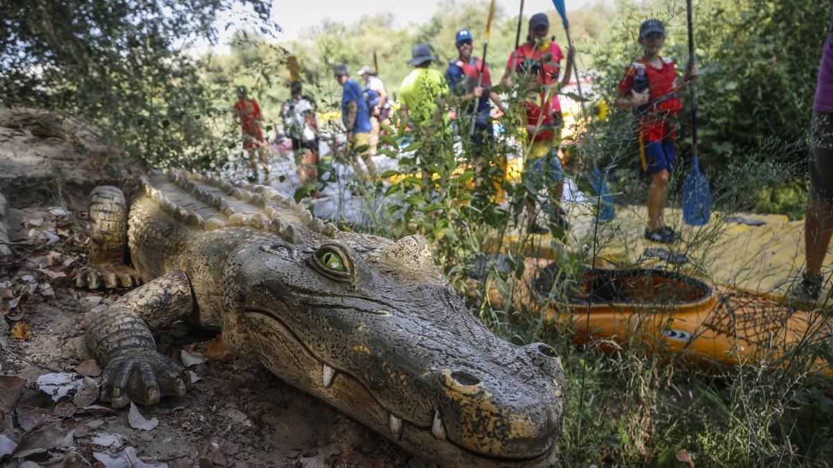 Ruta del Caimán 2026
