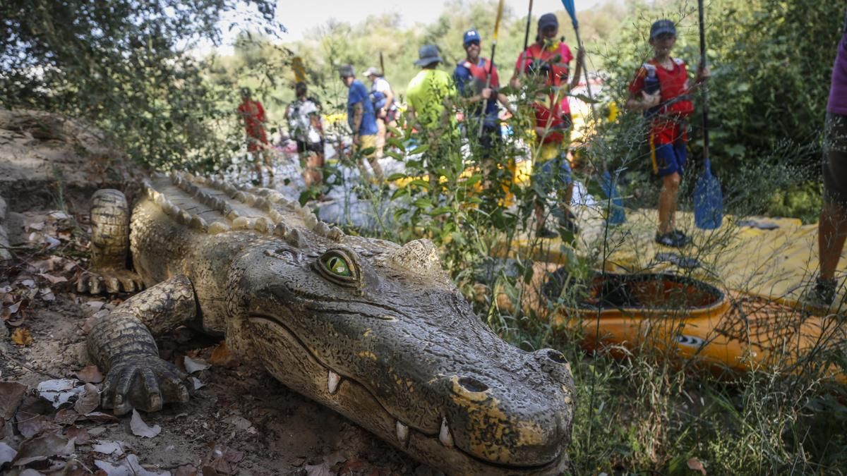 Ruta del Caimán 2026