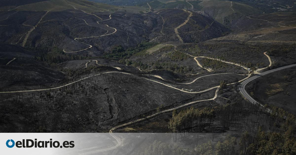 Estabilizado el incendio de Larouco, el mayor de la historia de Galicia, tras arrasar más de 30.000 hectáreas