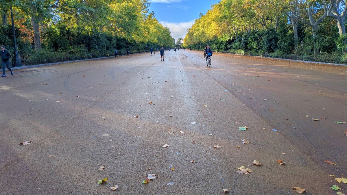 Vista general del Paseo de Coches del Retiro, ya con el nuevo asfaltado