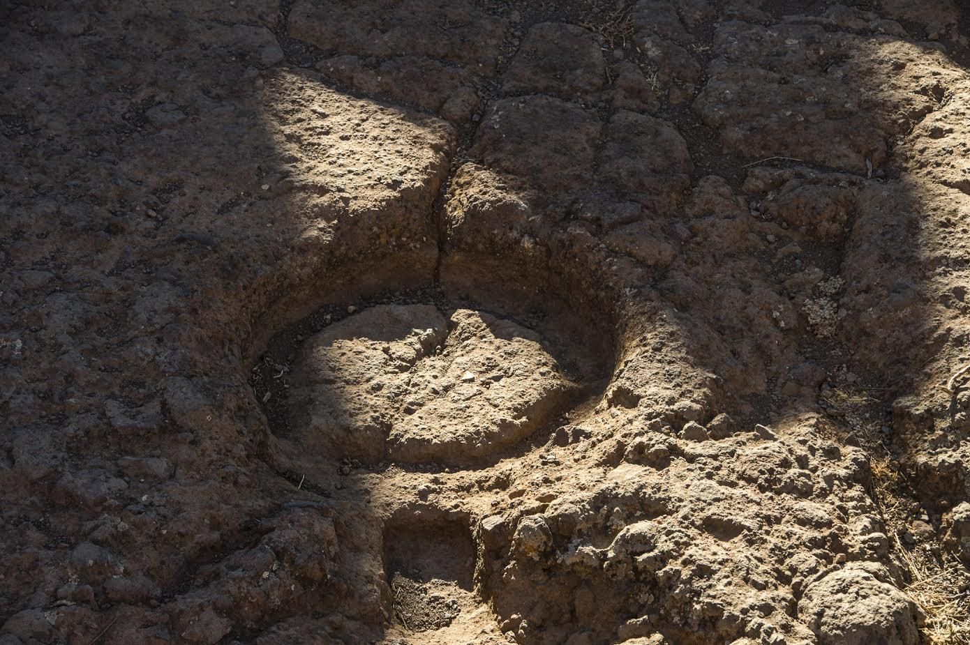 Llegada del otoño al yacimiento del Roque Bentayga (Canarias Ahora)