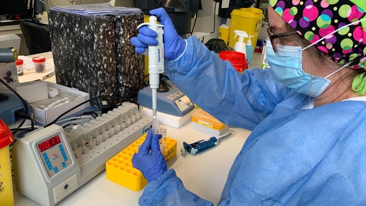 Imagen de archivo de realización de pruebas PCR.