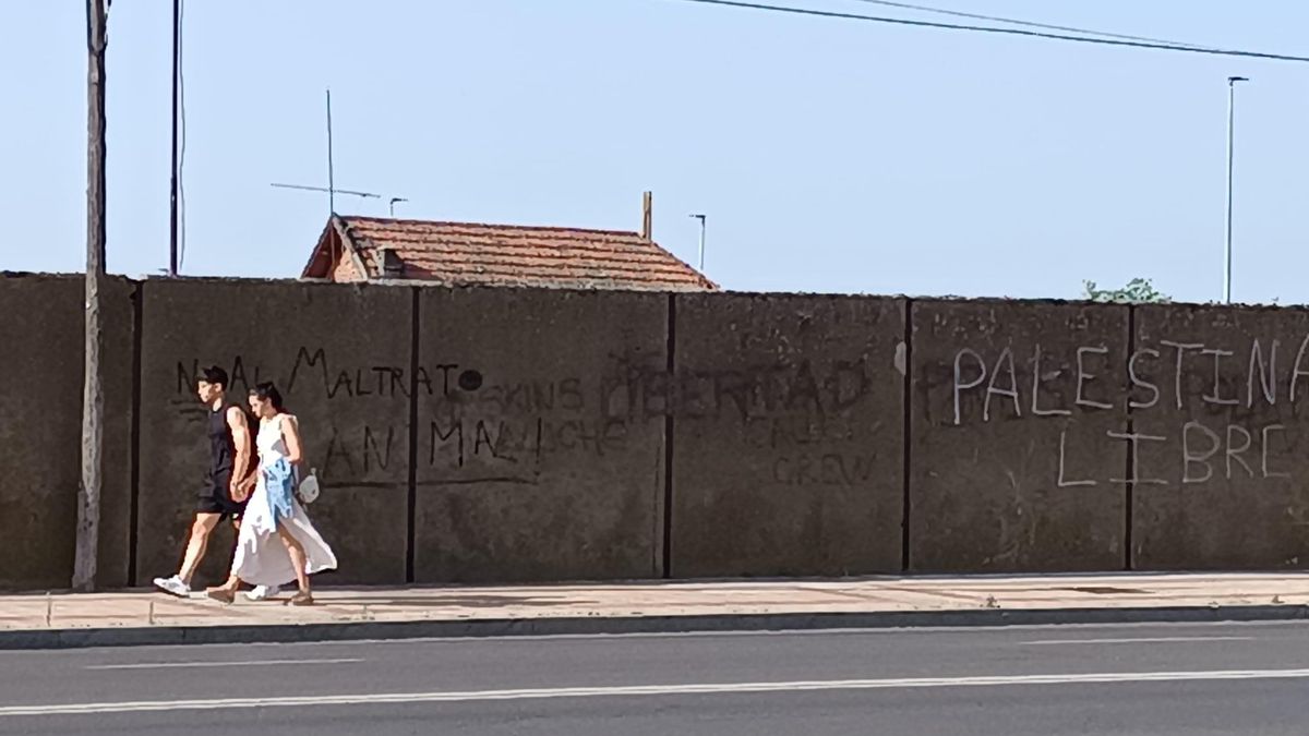 "No al maltrato animal", "Libertad" o "Palestina libre", frases escritas en los muros centenarios.
