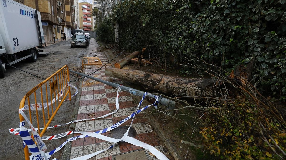 Efectos de la borrasca a su paso por Granada.