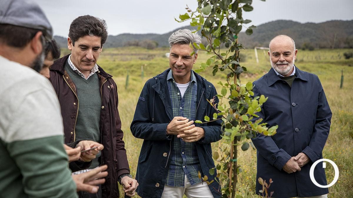 Diputación y Silbon colaboran en una nueva jornada de reforestación en la Finca Porrillas