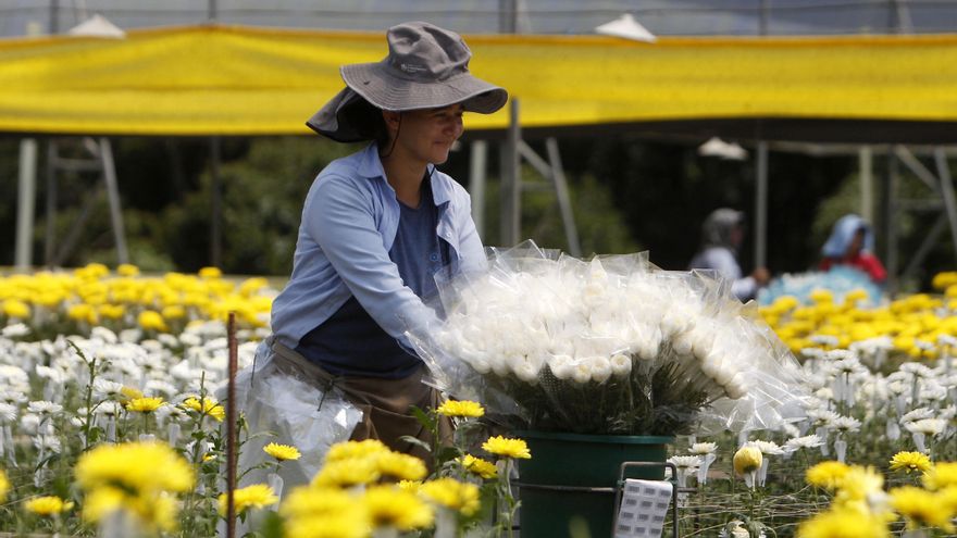 Los ramos de flores colombianas viajan a Estados Unidos con un mensaje de inclusión
