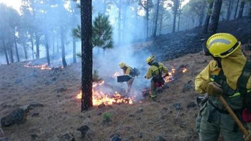 Alerta por riesgo de incendios forestales en La Palma, Tenerife,  El Hierro, La Gomera y Gran Canaria
