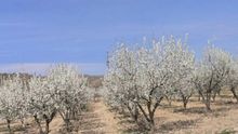 Foto: Cooperativas Agro-Alimentarias