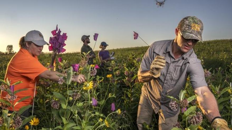 Salvar a las mariposas monarca o mostrar el dolor en Gaza: el poder del mejor fotoperiodismo mundial