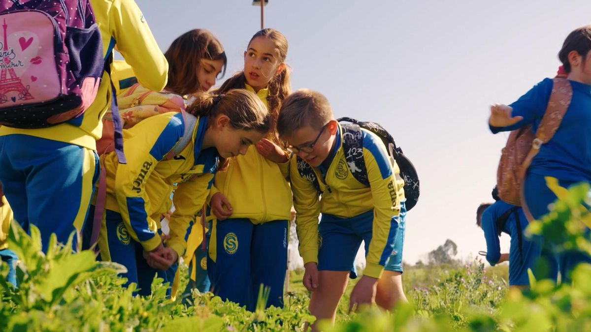 Ciencia entre jaramagos: alumnos del colegio Séneca descubren el ‘tesoro’ verde que crece en los descampados