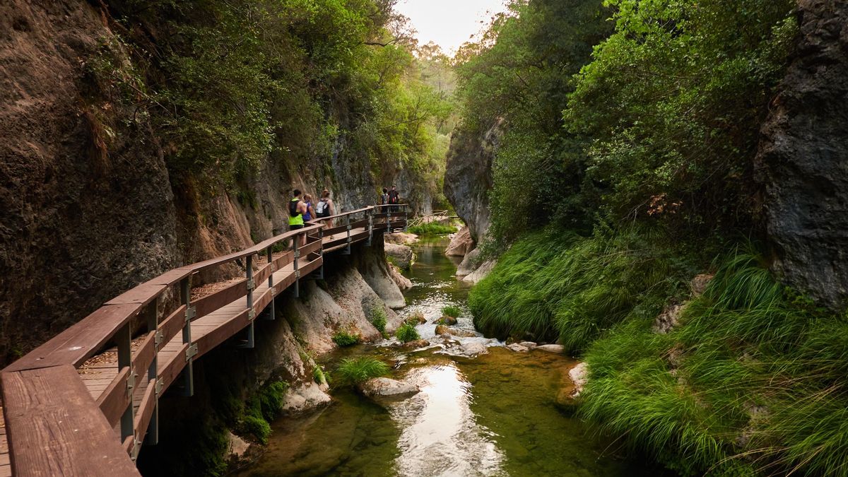 Ahora o nunca: los paisajes más espectaculares (y fugaces) de la primavera en España