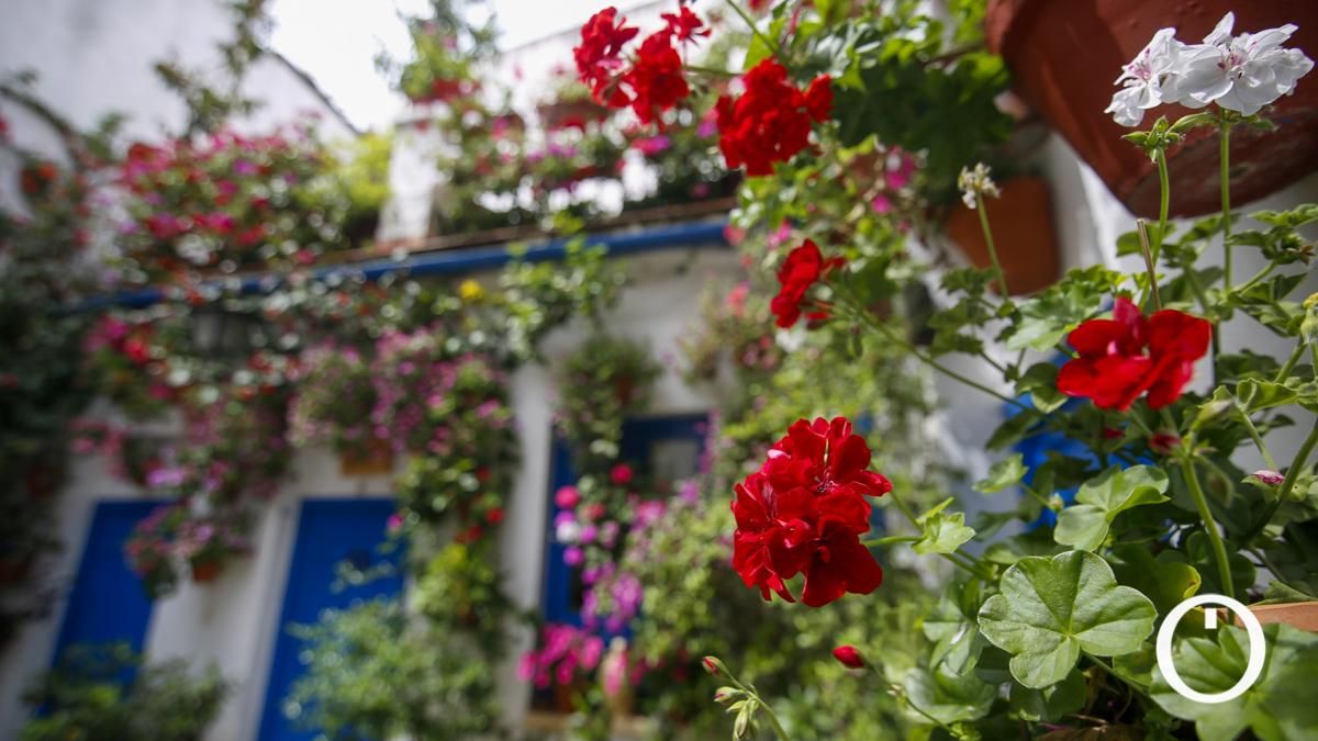 Patio en la C/ Siete Revueltas, 1