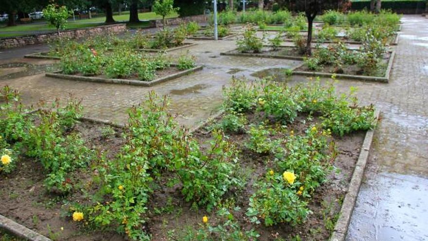 Cuando todos los rosales del Parque de los Reyes estallan, pocos lugares igual de aromáticos y coloridos en León.