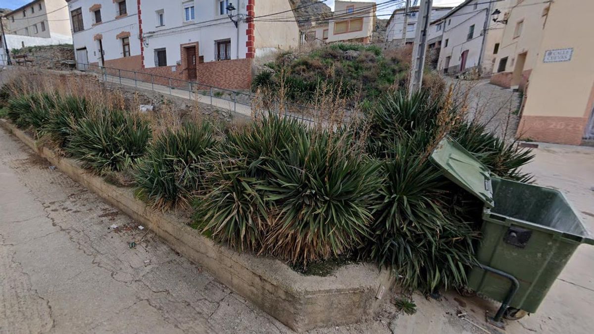 Estado del jardín previo al arreglo pagado por el Ayuntamiento.
