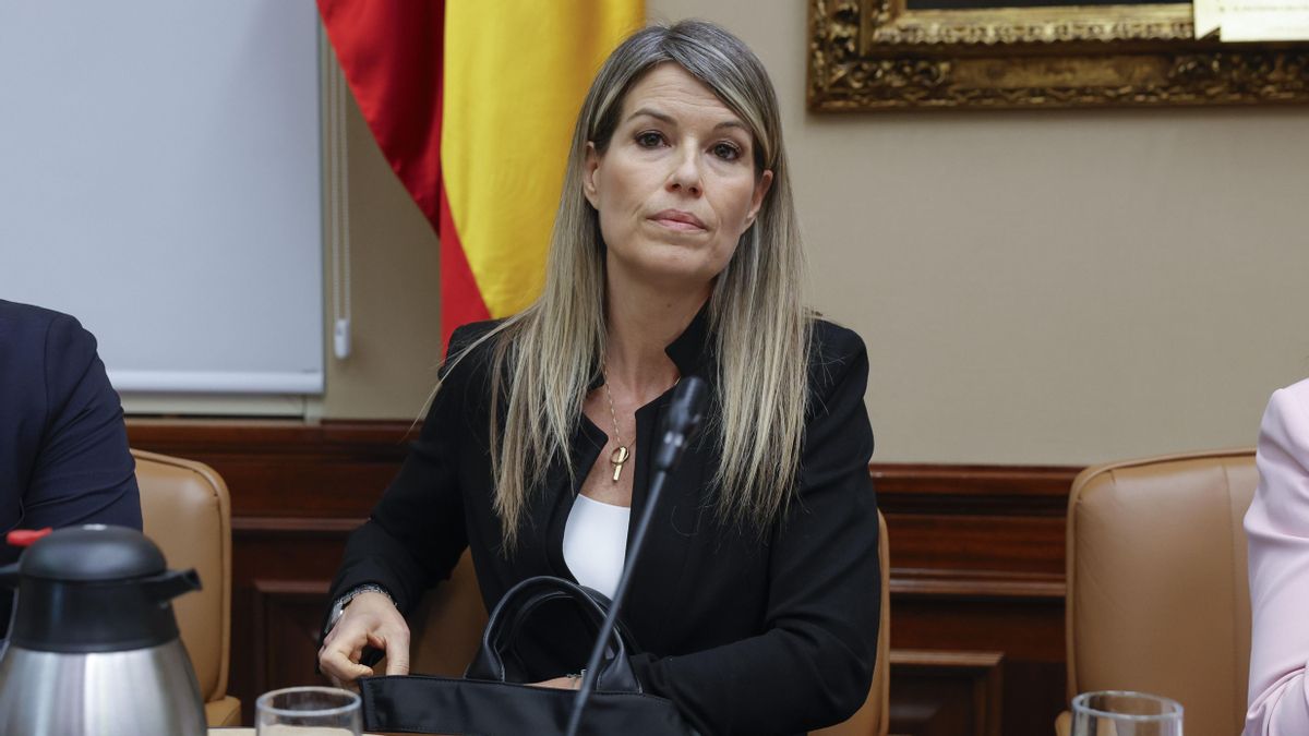 Vilaplana evita responder en la comisión de la dana sobre su comida con Mazón: "No sé qué hago aquí"