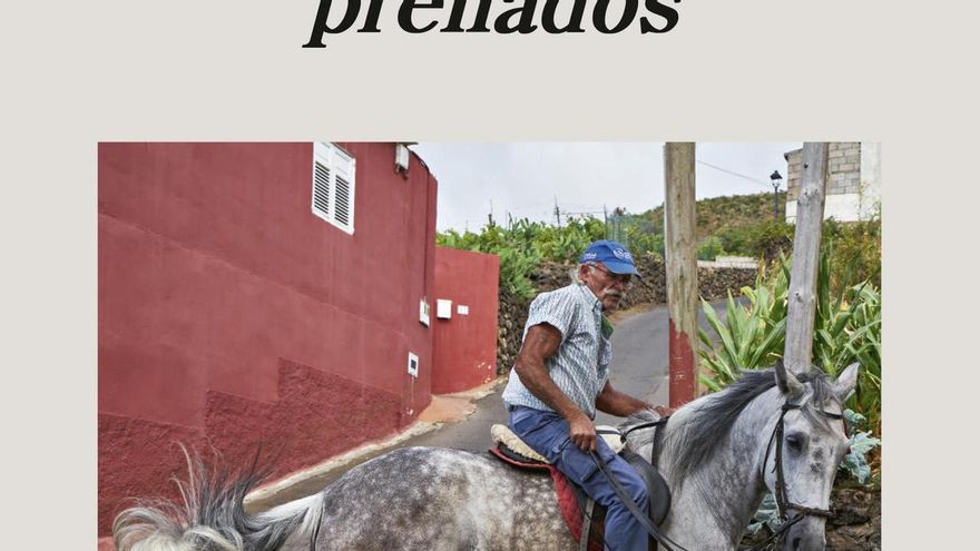 Andrea Abreu presenta en Gran Canaria su segunda novela, ‘Pajaritos preñados’, seis años después del éxito de 'Panza de burro'