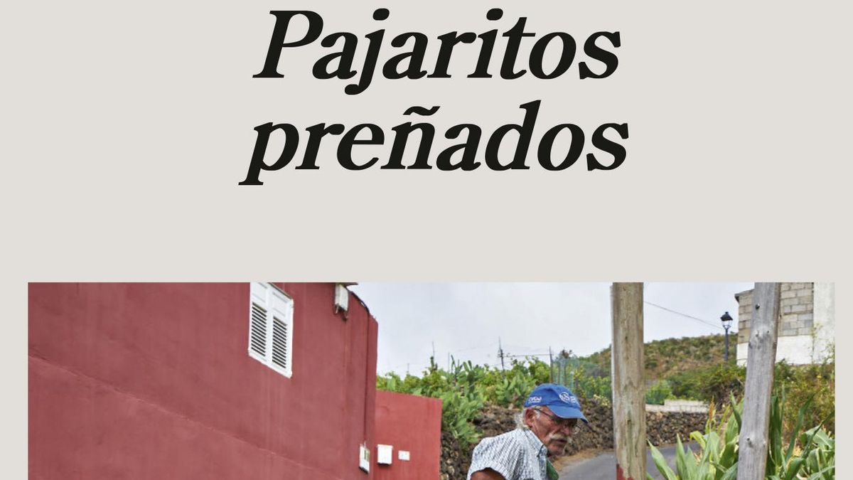 Andrea Abreu presenta en Gran Canaria su segunda novela, ‘Pajaritos preñados’, seis años después del éxito de 'Panza de burro'