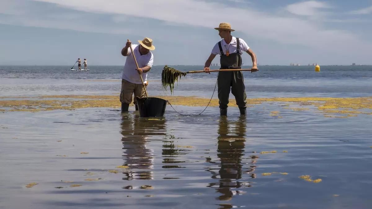 El Mar Menor y Portmán vuelven a recibir la bandera negra de Ecologistas en Acción por su crisis ambiental
