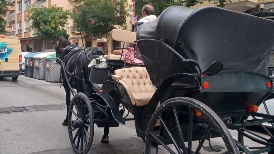 Calesa tirada por un caballo en una calle de Palma.