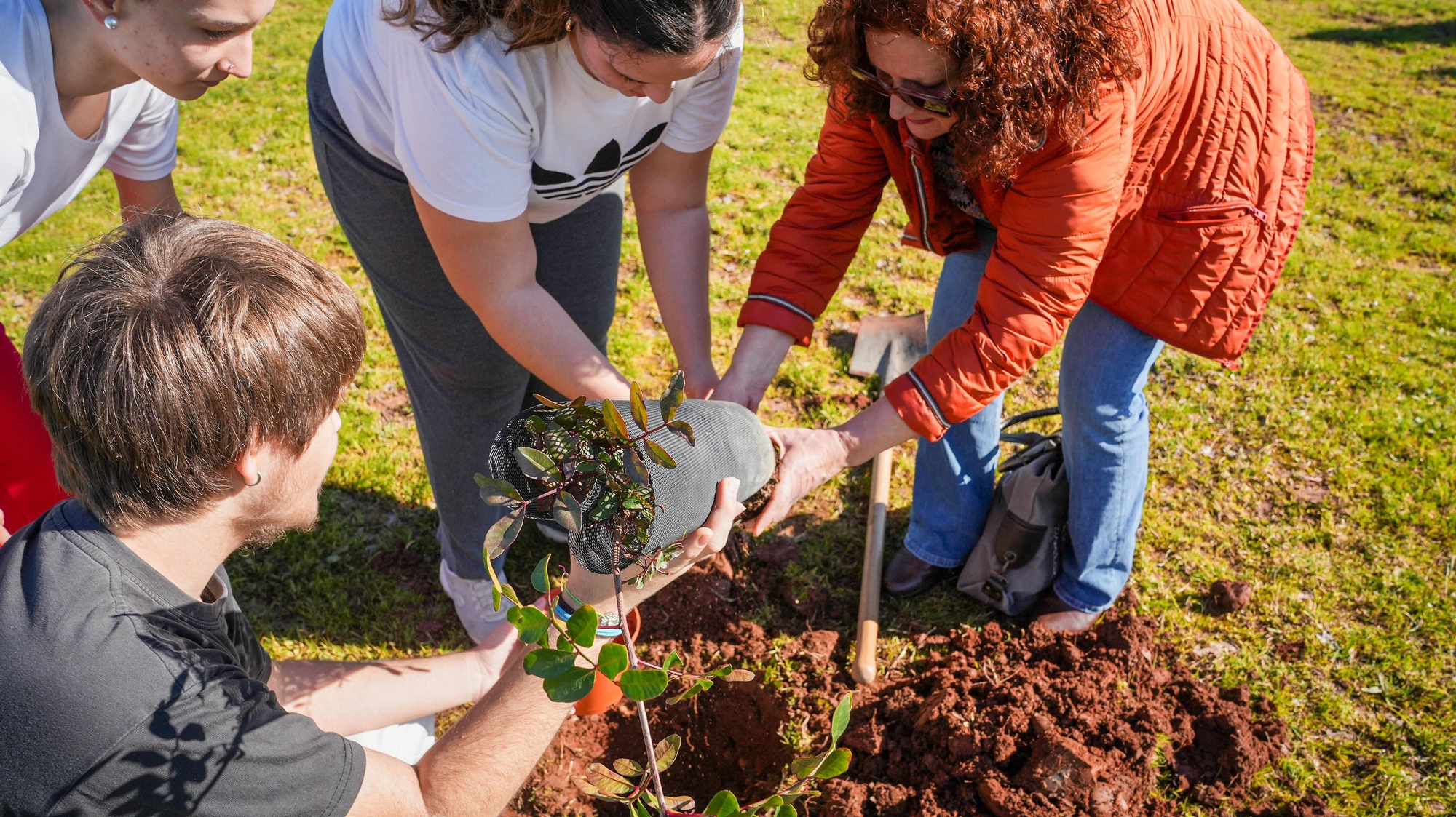 Primera plantación de EnArbolando Córdoba en La Asomadilla