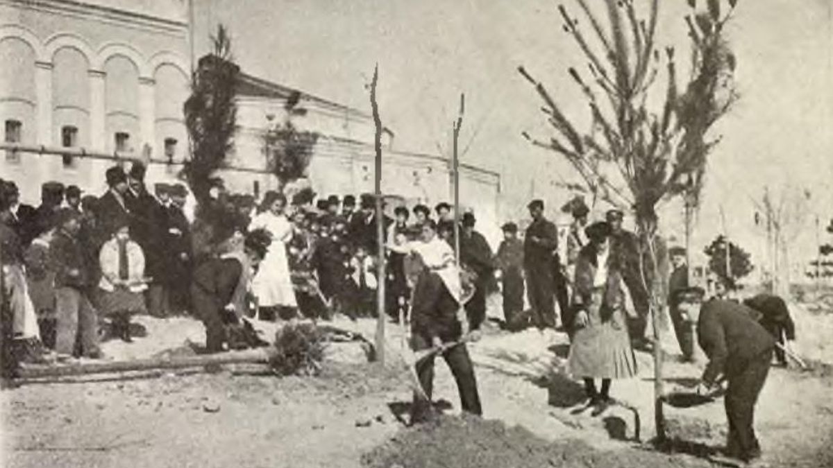 La Fiesta del Árbol de la Ciudad Lineal o cómo plantar para poner en marcha una utopía progresista
