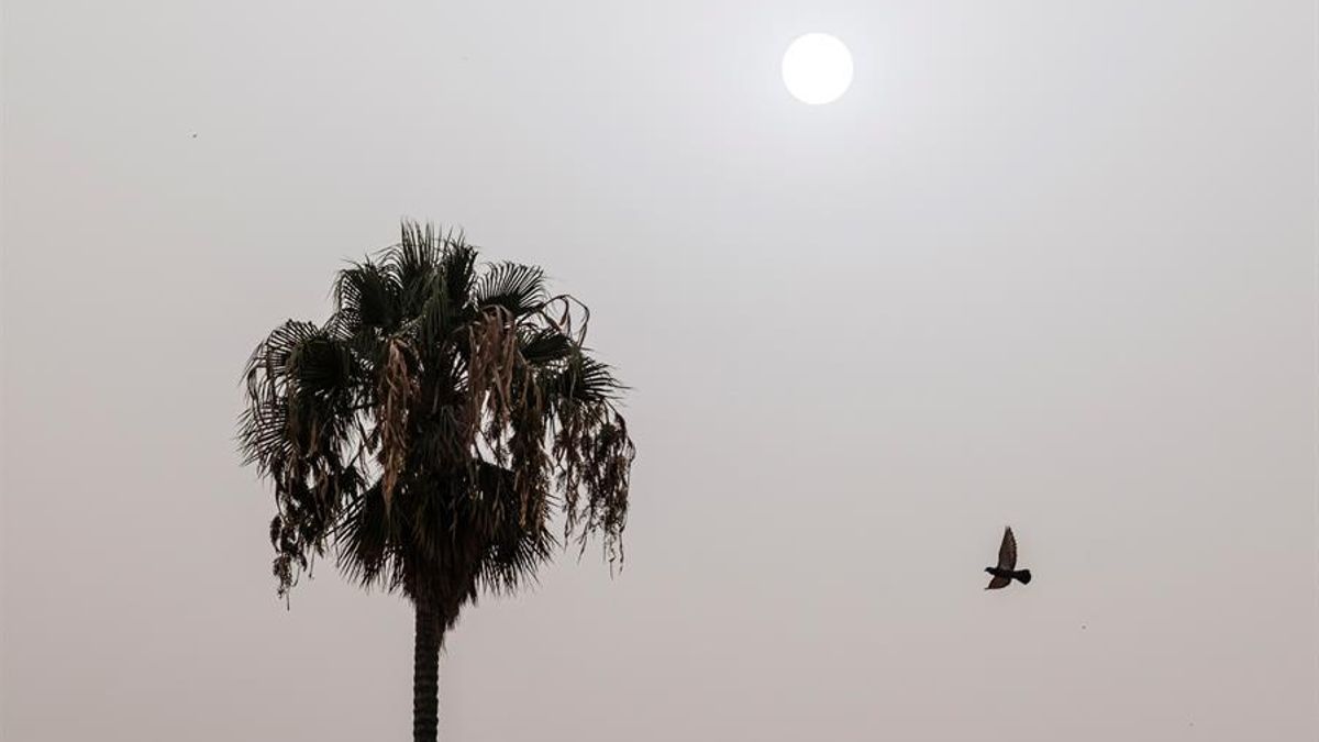 Imagen de archivo de un día con calima en Gran Canaria.