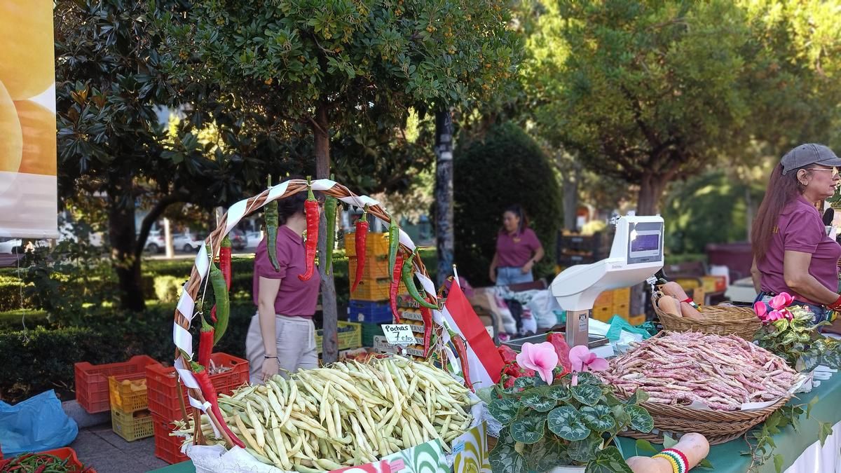 El Concurso Agrícola de La Rioja llenará este domingo El Espolón de Logroño con lo mejor de la huerta riojana