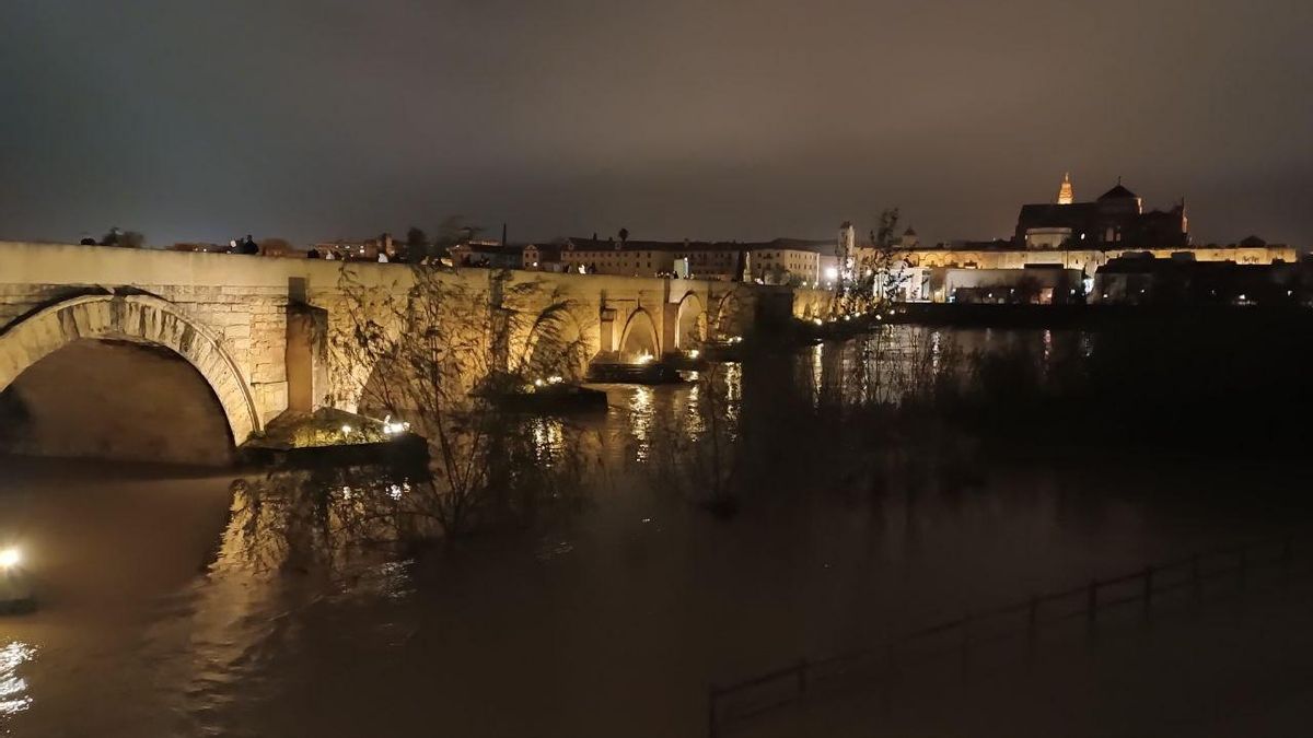 El Guadalquivir, en la noche del jueves, a su paso por Córdoba